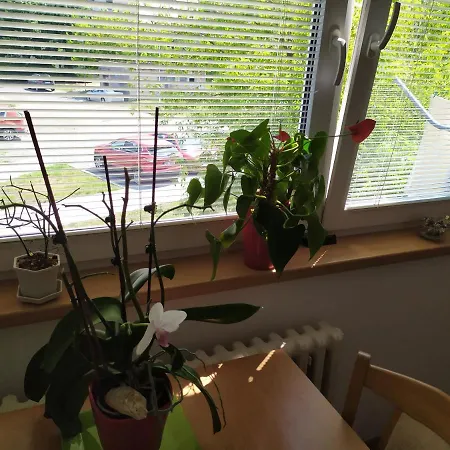 Apartman Jan Břeclav Extérieur photo