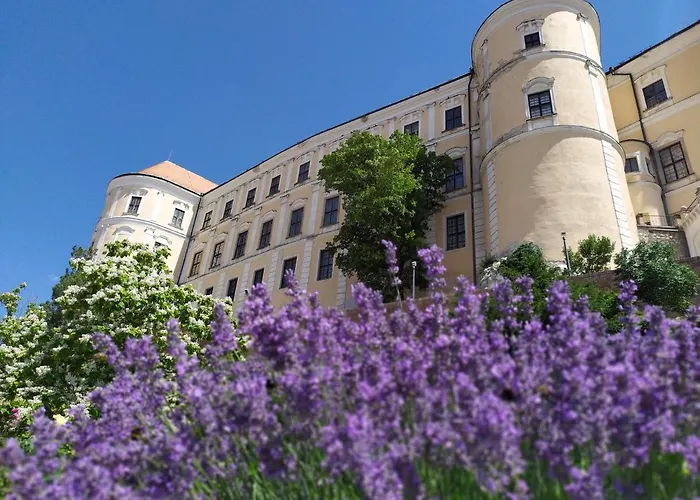 Apartman Jan